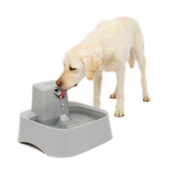 Pet water fountain