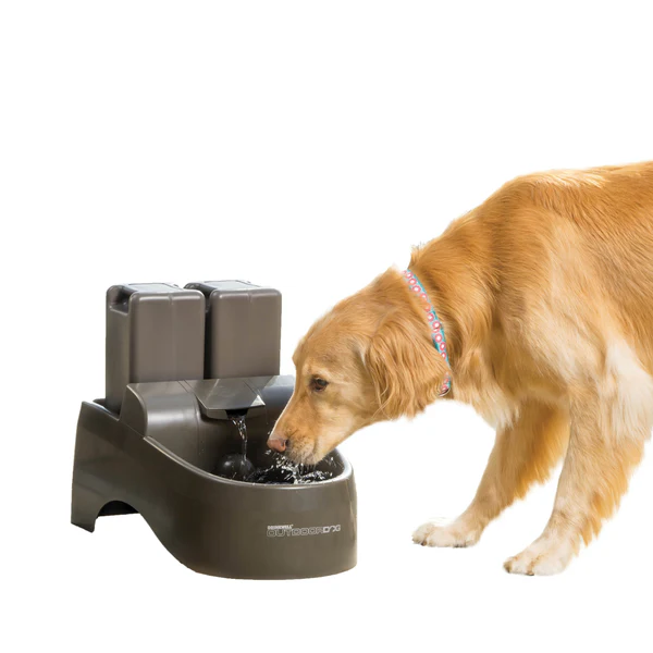 Outdoor dog water fountain